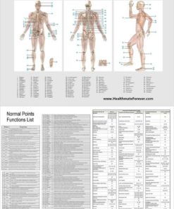 6 Modes Best Back Neck Stress Neck Sciatic Pain Relief Massager + 2 Pair Of E.. 14 182280763391 5