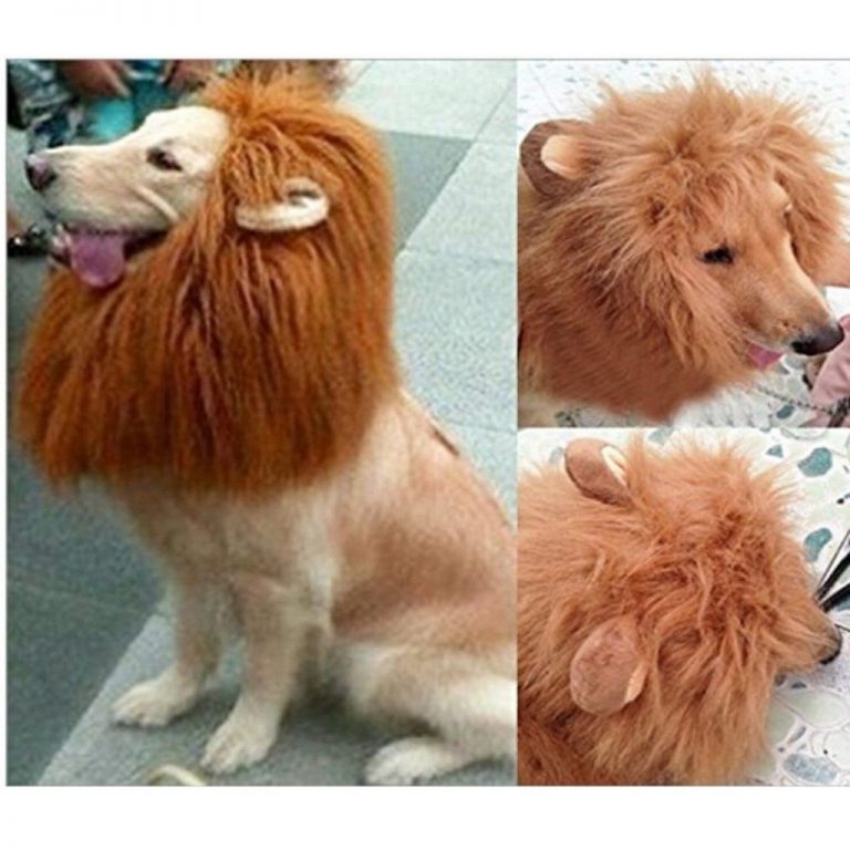 Gimilife Dog Costume Lion Mane Wig Light Brown