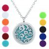 Gertong Hypo-Allergenic Stainless Steel Aroma Essential Oil Diffuser Necklace.. 6 182280814712 0