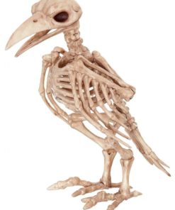 Crazy Bonez Skeleton Raven