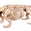 Crazy Bonez Skeleton Dog - Puppy Bonez 16 182281450422 0