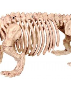 Crazy Bonez Skeleton Dog - Puppy Bonez