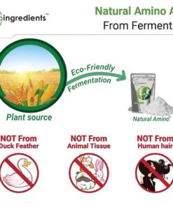 Micro Ingredients Plant-Based Pure Bcaa 2:1:1 Powder (Instantized) Support Mu.. 11 182281450836 4