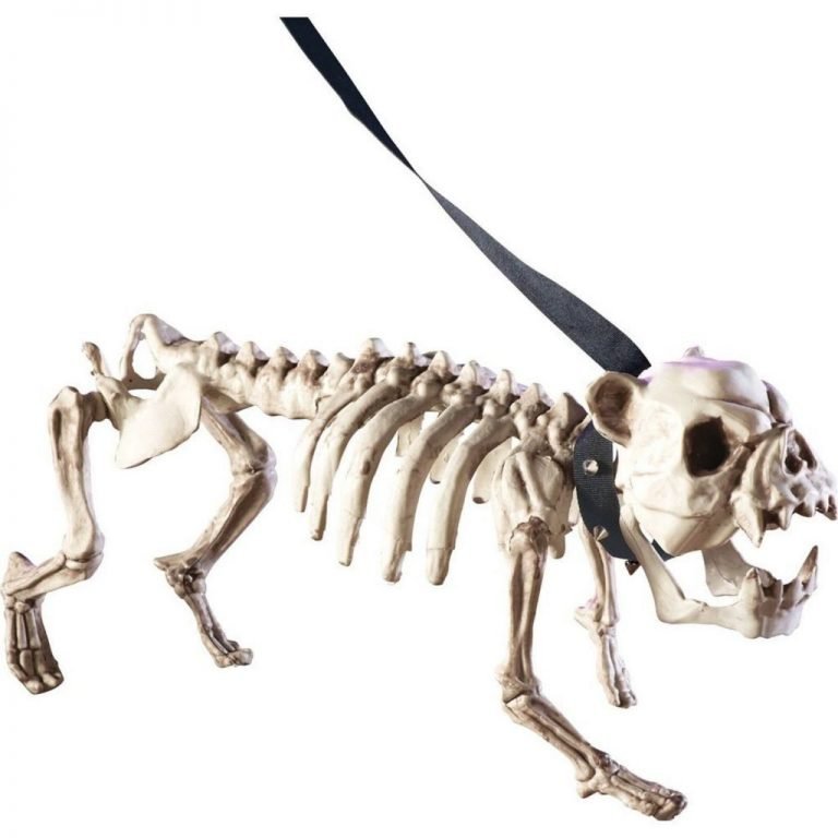 Posable Skeleton Dog Halloween Decoration