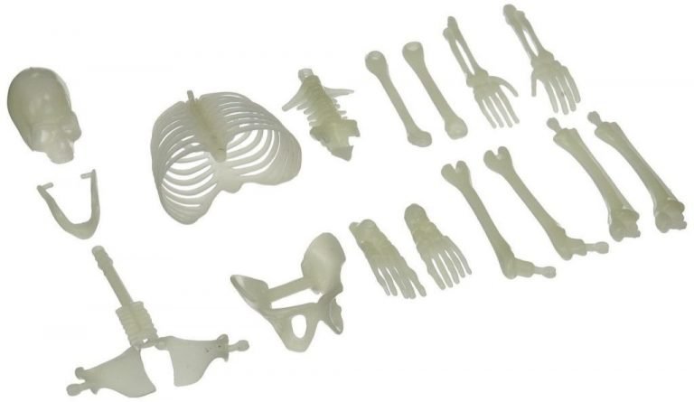 Glow In The Dark Skeleton Box Of Bones Action Figure 1-Pack