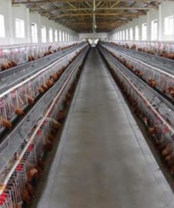 Outop 10 Pcs Water Cups Nipple Chicken Drinkers Waterer 360 Angle Poultry Sup.. 12 182287566781 5