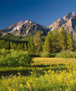 Uniden Gmr5098-2Ckvp Submersible Two Way Radio With Charger And Headset Black 7 182290600882 2