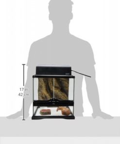 Exo Terra Glass Natural Terrarium Nano/Tall - 8 X 8 X 12 Inches 5 182290620117 2