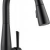 Delta Faucet 9113-Bl-Dst Essa Single Handle Pull-Down Kitchen Faucet With Mag.. 11 182299373908 0