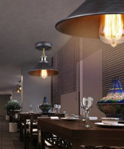 Ecopower Industrial Mini Edison Ceiling Light 1-Light 10 182299377520 4