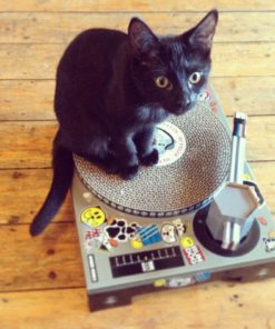 Suck Uk Cat Playhouse Series Cat Dj 12 182299398454 5