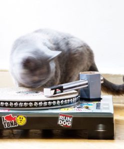 Suck Uk Cat Playhouse Series Cat Dj 13 182299398454 6