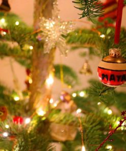 Homestarry Waterproof Decorative Outdoor String Lights 20 Ft 120 Led Dimmable.. 11 182299407905 4