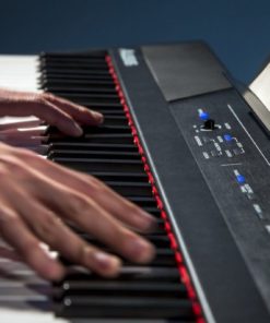 Alesis Recital 88-Key Beginner Digital Piano With Full-Size Semi-Weighted Key.. 10 182299423737 4