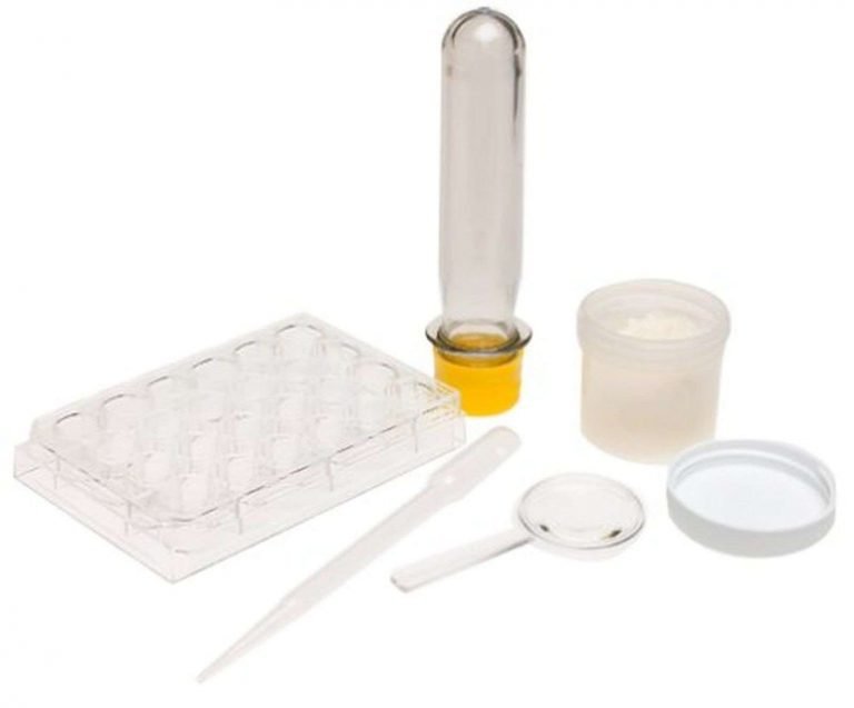 Scientific Explorer My First Science Kit - Swiftsly