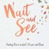 Wait And See: Finding Peace In God's Pauses And Plans 3 182312029024 0 1
