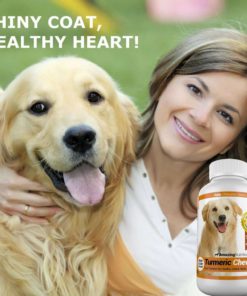 Amazing Turmeric For Dogs Curcumin Pet Antioxidant Eliminates Joint Pain Infl.. 7 182312033187 1