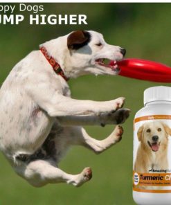 Amazing Turmeric For Dogs Curcumin Pet Antioxidant Eliminates Joint Pain Infl.. 8 182312033187 2