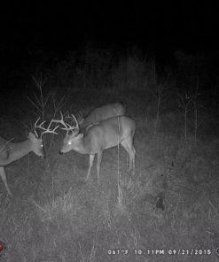 Alternative view of Wildgame Innovations Buck Commander Nano 8 Lights Out Hunting Trail Camera