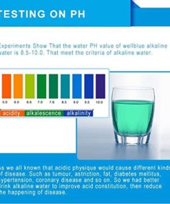 Wellblue Alkaline Mineral Water Ionizer Pitcher 3.5L Pure Healthy Water In Mi.. 11 182312059725 4 1