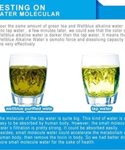 Wellblue Alkaline Mineral Water Ionizer Pitcher 3.5L Pure Healthy Water In Mi.. 12 182312059725 5 1