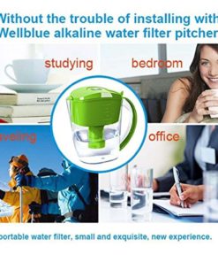 Wellblue Alkaline Mineral Water Ionizer Pitcher 3.5L Pure Healthy Water In Mi.. 13 182312059725 6 1