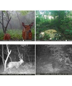 Tec.Bean 12Mp 1080P Hd Game & Trail Hunting Camera No Glow Infrared Scouting .. 15 182312061204 6