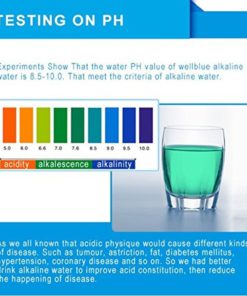 Wellblue 3Pcsthe Alkaline Water Pitcher Cartridge(Blue) 3 12 182312061681 5