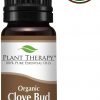 Usda Certified Organic Clove Bud Essential Oil. 10 Ml (1/3 Oz). 100% Pure Und.. 3 182312065094 0
