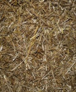 Manure Based Mushroom Substrate In Mushroom Grow Bags 17 182318810149 2 1