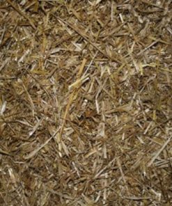 Manure Based Mushroom Substrate In Mushroom Grow Bags 12 182318810149 2