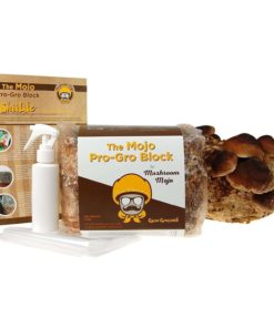 Mushroom Mojo Shiitake Mushroom Growing Kit - Indoor / Outdoor Japanese Shiit.. 10 182318814835 1 1