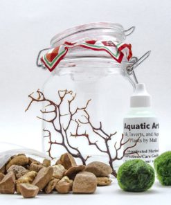 Alternative view of Aquatic Arts Marimo Aquarium Kit Large
