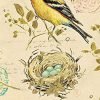 Avanti Linens Gilded Birds Guest Paper Napkins 14 182318823894 0