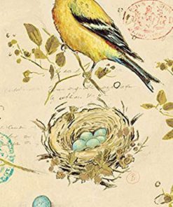 Avanti Linens Gilded Birds Guest Paper Napkins