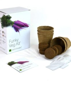 Alternative view of Plant Theatre Funky Veg Kit - 5 Extraordinary Vegetables To Grow - Great Gift