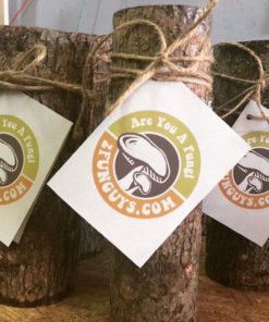 12" Shiitake Mushroom Log Grow Your Own Amazing Edible Mushrooms 6 182318825796 1 1