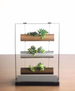 Vertical Garden Succulent Cactus Small Plants Herb Planting Cylinder System U.. 12 182318847561 0 1