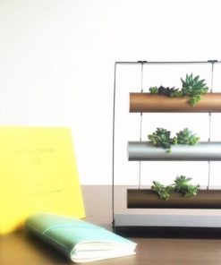 Vertical Garden Succulent Cactus Small Plants Herb Planting Cylinder System U.. 10 182318847561 2