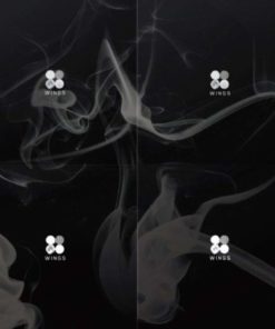 Alternative view of Wings