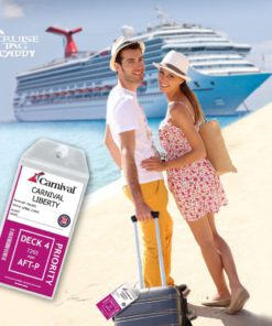 Alternative view of Cruise Tag Caddy 8 Pack Clear Luggage Holders Zip Seal & Steel Loops Thick Pvc