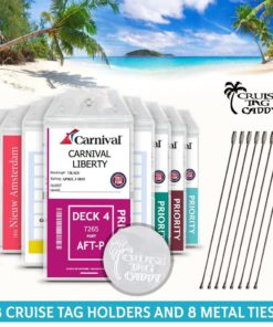 Cruise Tag Caddy 8 Pack Clear Luggage Holders Zip Seal & Steel Loops Thick Pvc 8 182321175063 3