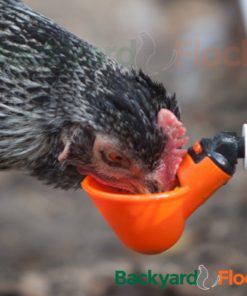 Drinker Cups For Backyard Flock Automatic Poultry Watering System (4 Drinker .. 10 182321175534 3