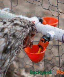 Drinker Cups For Backyard Flock Automatic Poultry Watering System (4 Drinker .. 12 182321175534 5