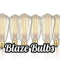 Alternative view of Edison Vintage Bulbs - 6 Pack - 60W Incandescent - Clear Glass - St64 Squirre..