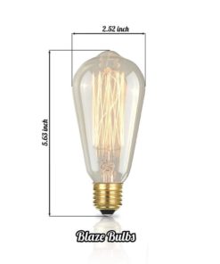 Edison Vintage Bulbs - 6 Pack - 60W Incandescent - Clear Glass - St64 Squirre.. 10 182321191189 2