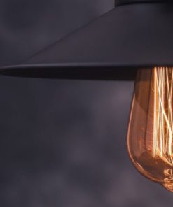 Edison Vintage Bulbs - 6 Pack - 60W Incandescent - Clear Glass - St64 Squirre.. 14 182321191189 6