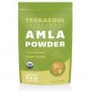 Terrasoul Superfoods Amla Powder (Organic) 12 Ounce 3 182321219234 0
