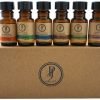 Pure Joy Aromatherapy Premium Kit Top 6 Essential Oils Gift Set 10Ml 100% Pur.. 3 182321220749 0