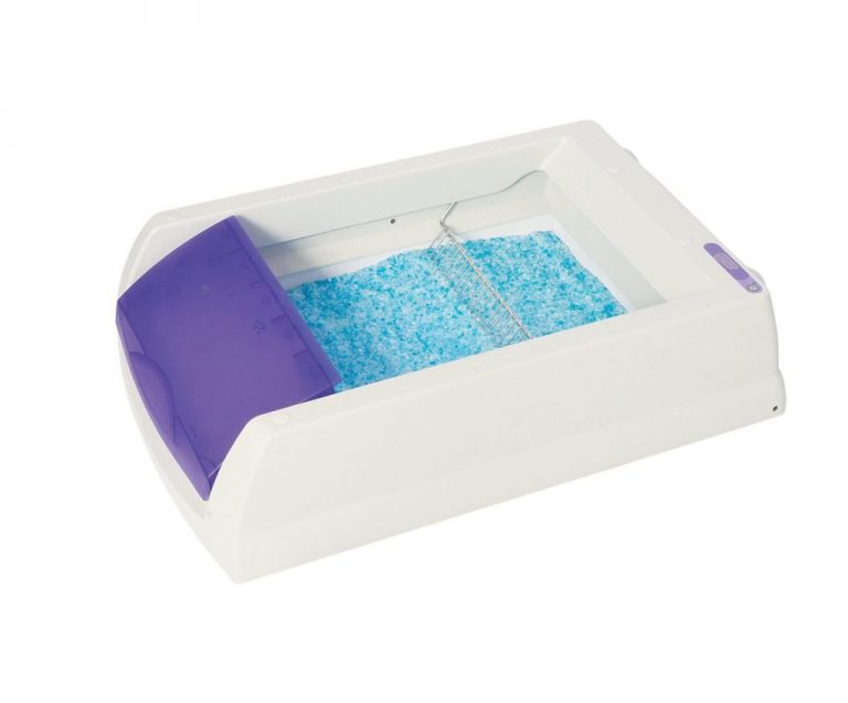 Scoopfree Litter Tray Refills With Premium Blue Crystals Pack Of 6